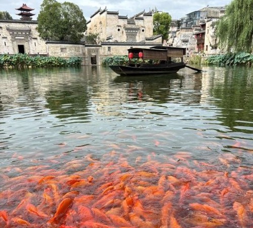 优雅团建2025 婺源古城