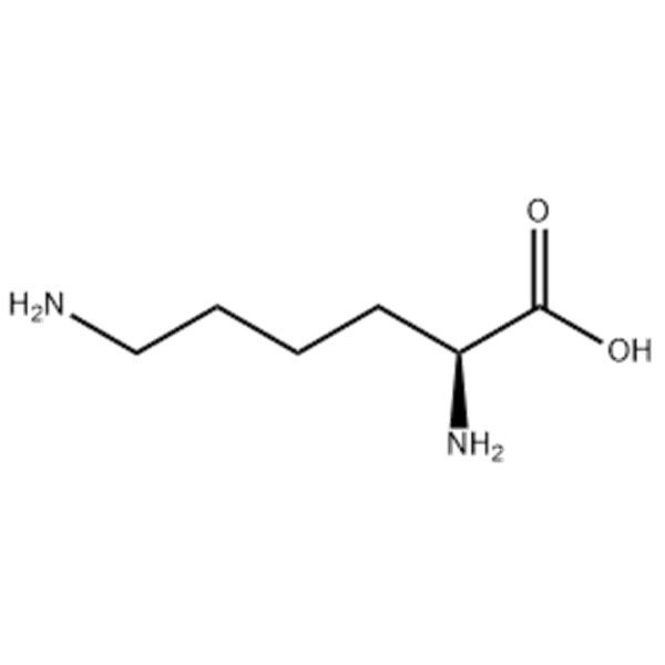 lysine image